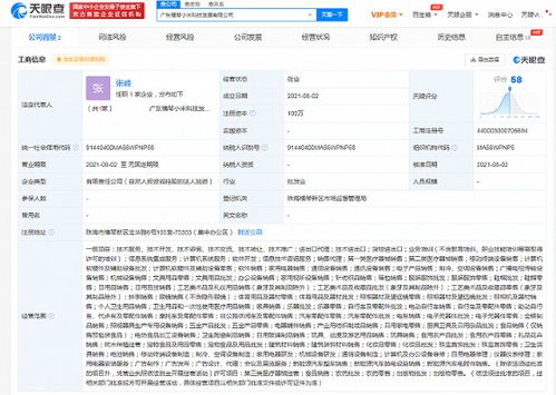 小米珠海橫琴新公司成立，跨界布局新能源汽車與數(shù)據(jù)處理服務(wù)
