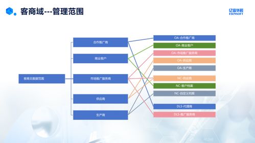 藥企客商域主數據管理實踐與挑戰 基于數據處理服務的視角