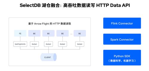 定義現代化實時數據倉庫 SelectDB全新產品形態全面發布，引領信息系統集成服務革新